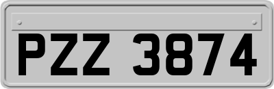 PZZ3874