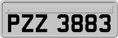 PZZ3883