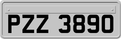 PZZ3890