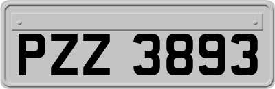 PZZ3893
