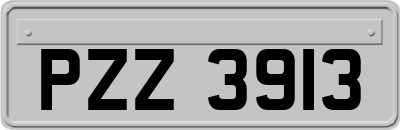 PZZ3913