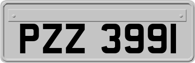 PZZ3991