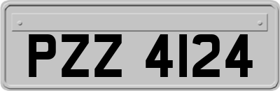 PZZ4124