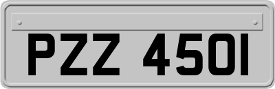 PZZ4501