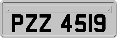 PZZ4519