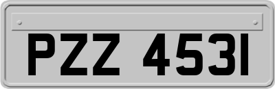 PZZ4531