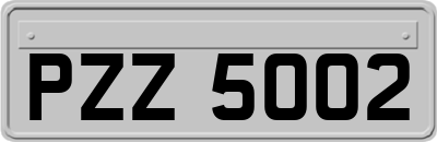 PZZ5002