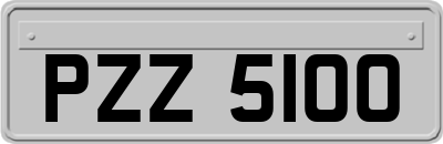 PZZ5100