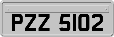 PZZ5102