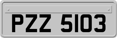 PZZ5103