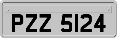 PZZ5124