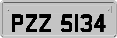 PZZ5134