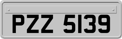 PZZ5139