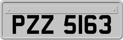 PZZ5163