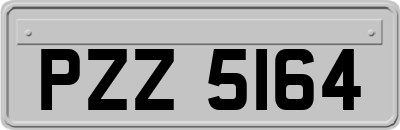 PZZ5164