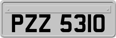 PZZ5310