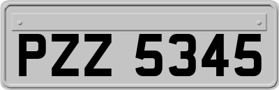 PZZ5345