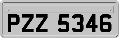 PZZ5346