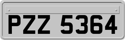 PZZ5364