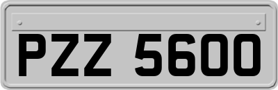 PZZ5600