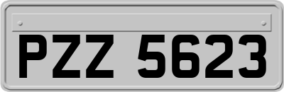 PZZ5623