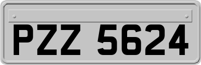 PZZ5624