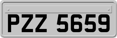 PZZ5659