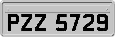 PZZ5729