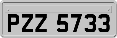 PZZ5733