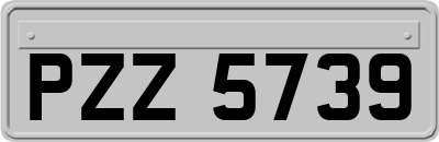 PZZ5739