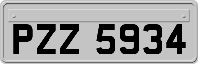 PZZ5934