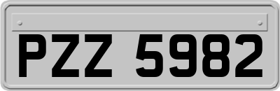 PZZ5982