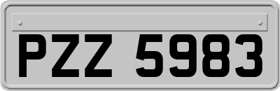 PZZ5983