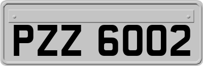 PZZ6002