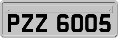 PZZ6005