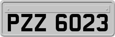 PZZ6023