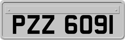 PZZ6091