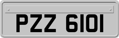 PZZ6101