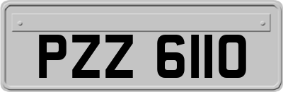 PZZ6110