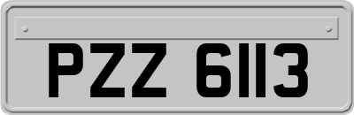 PZZ6113