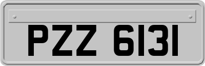 PZZ6131