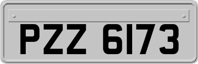 PZZ6173