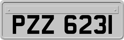 PZZ6231