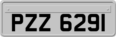 PZZ6291