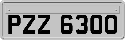 PZZ6300