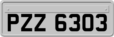 PZZ6303