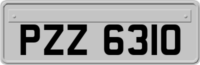 PZZ6310