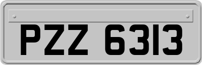 PZZ6313