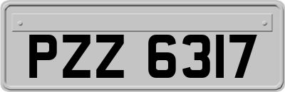 PZZ6317