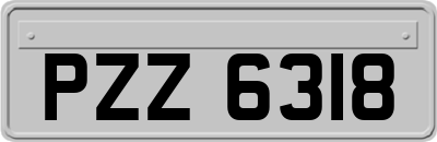 PZZ6318